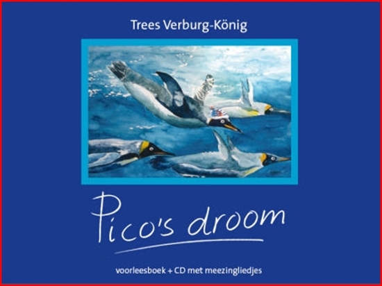Afbeelding van Pico's droom
