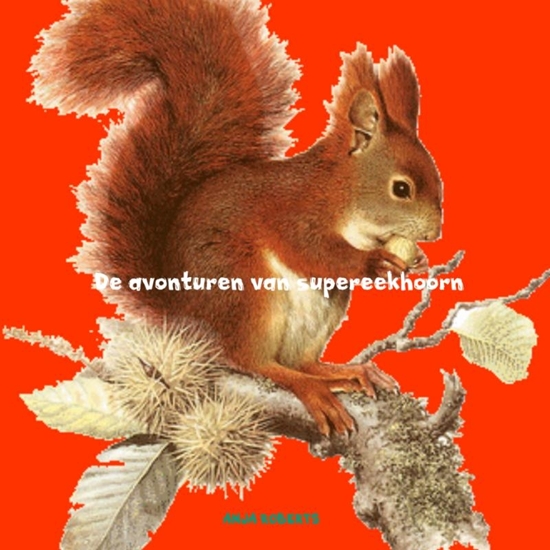 Afbeelding van De avonturen van supereekhoorn