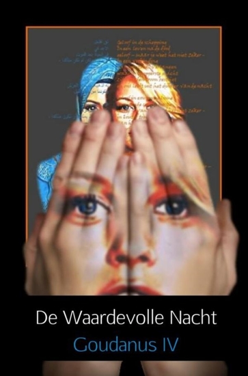 Afbeelding van De waardevolle nacht