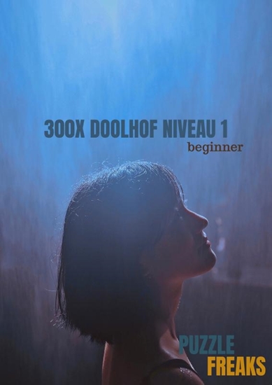 Afbeelding van 300X DOOLHOF NIVEAU 1