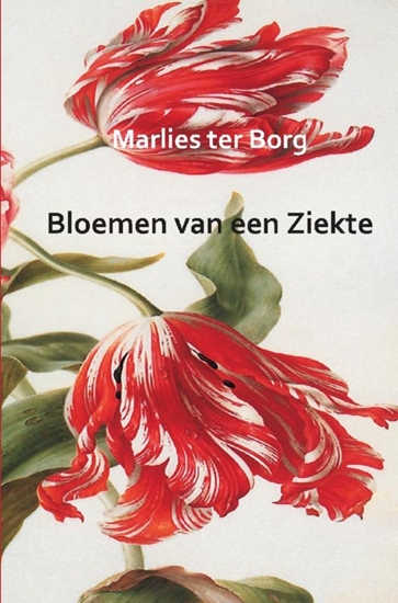 Afbeelding van Bloemen van een Ziekte