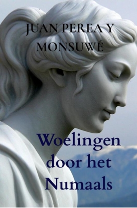 Afbeeldingen van Woelingen door het Numaals