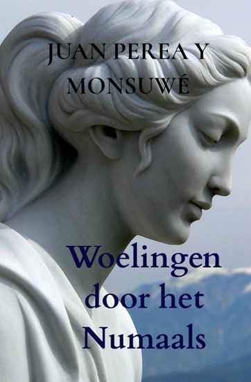 Afbeelding van Woelingen door het Numaals