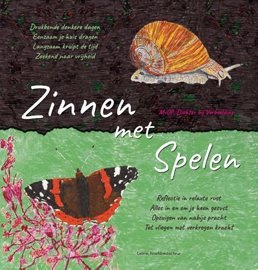 Afbeelding van Zinnen met Spelen