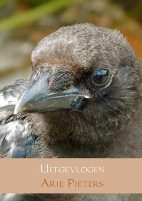 Afbeeldingen van Uitgevlogen