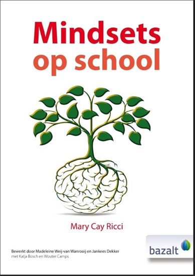 Afbeelding van Mindsets op school