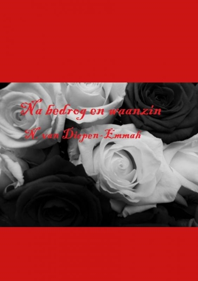 Afbeelding van Na bedrog en waanzin