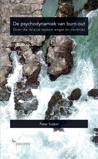 Afbeelding van De psychodynamiek van burn-out