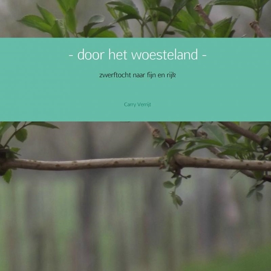 Afbeelding van - door het woesteland -