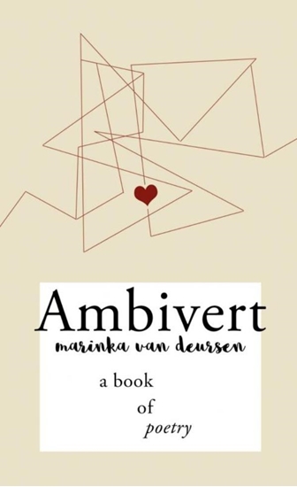 Afbeelding van Ambivert