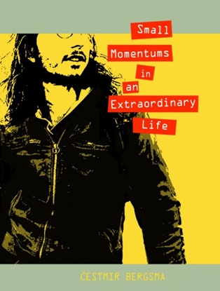 Afbeeldingen van Small momentums in an extraordinary life