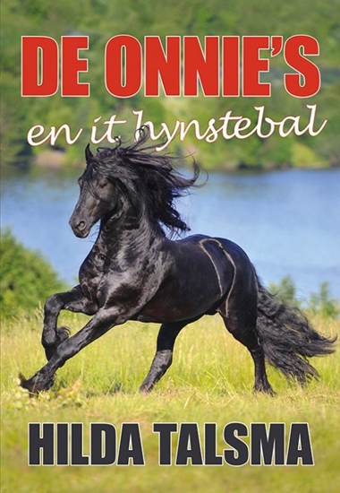 Afbeelding van De Onnie's en it hynstebal