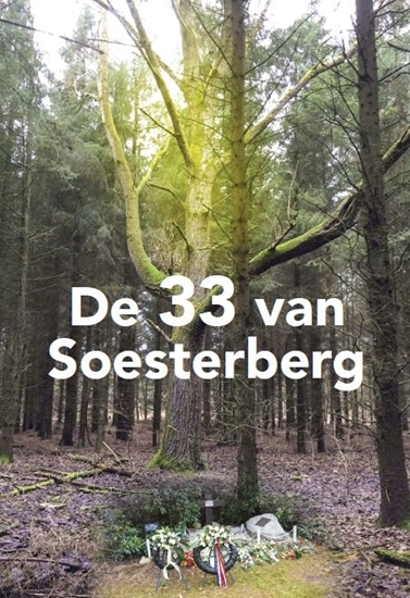 Afbeelding van De 33 van soesterberg