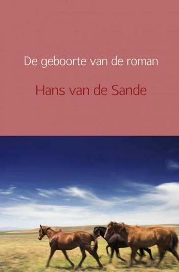 Afbeelding van De geboorte van de roman