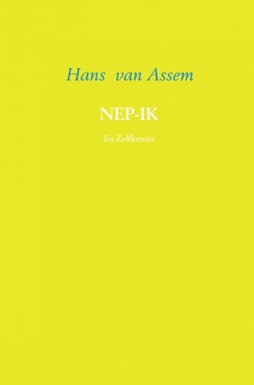 Afbeelding van Nep-ik en zelfkennis