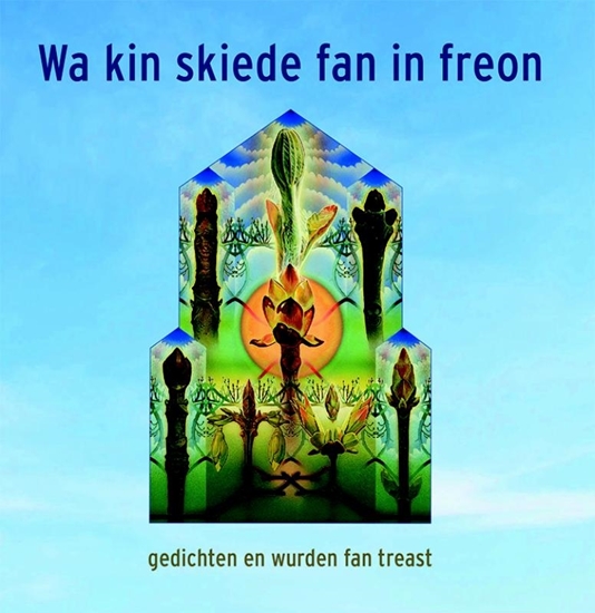Afbeelding van Wa kin skiede fan in freon