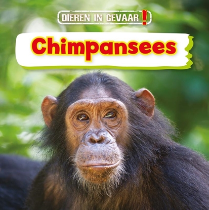 Afbeeldingen van Dieren in gevaar! Chimpansees