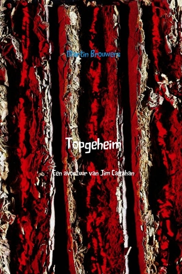 Afbeelding van Topgeheim