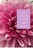 Afbeelding van LONELY DESERT FLOWER