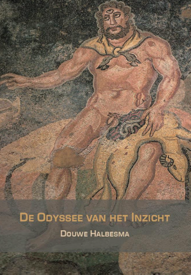 Afbeelding van De Odyssee van het inzicht