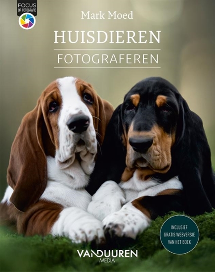 Afbeelding van Focus op fotografie Huisdieren fotograferen