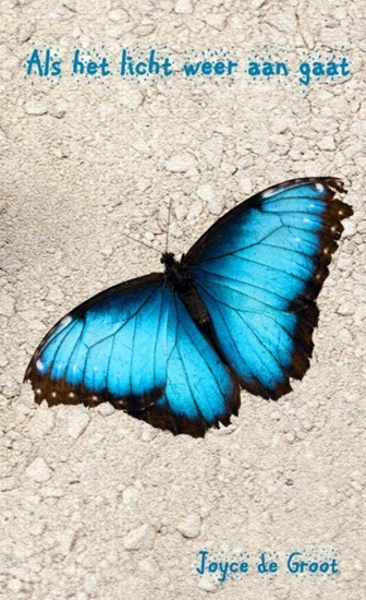 Afbeelding van Als het licht weer aan gaat