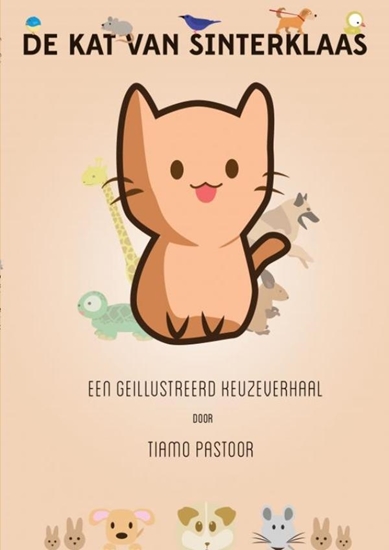 Afbeelding van De Kat van Sinterklaas