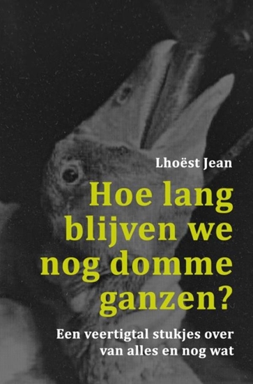 Afbeelding van Hoe lang blijven we nog domme ganzen?