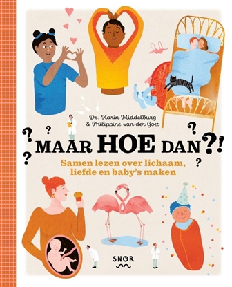 Afbeeldingen van Maar HOE dan?!