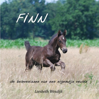 Afbeeldingen van Finn