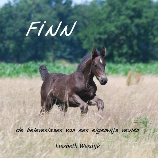Afbeelding van Finn