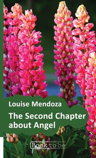 Afbeelding van The second chapter about Angel