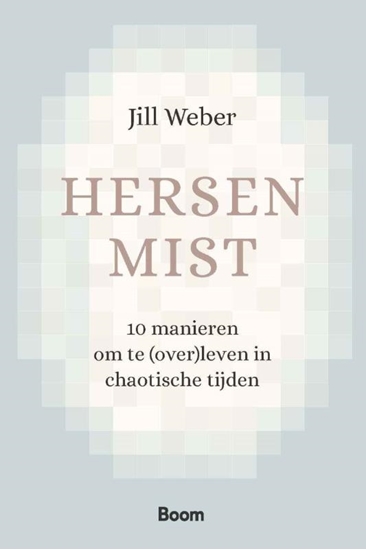 Afbeelding van Hersenmist