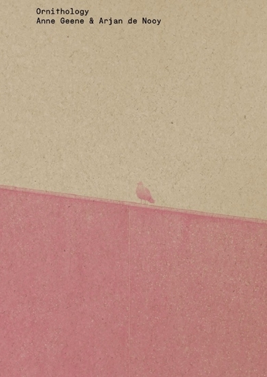 Afbeelding van Ornithology