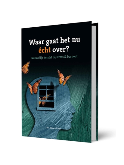 Afbeelding van Waar gaat het nu echt over?