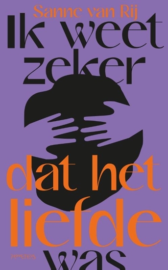 Afbeelding van Ik weet zeker dat het liefde was