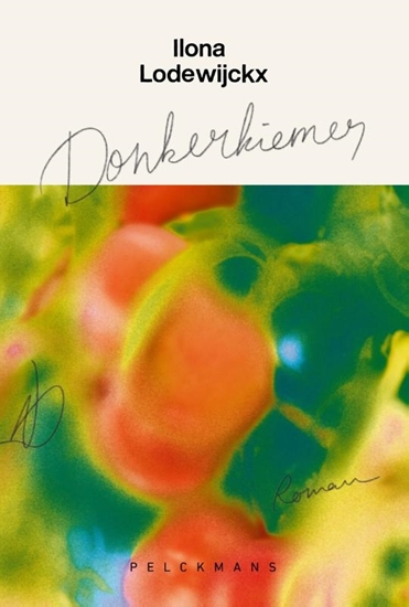 Afbeelding van Donkerkiemer