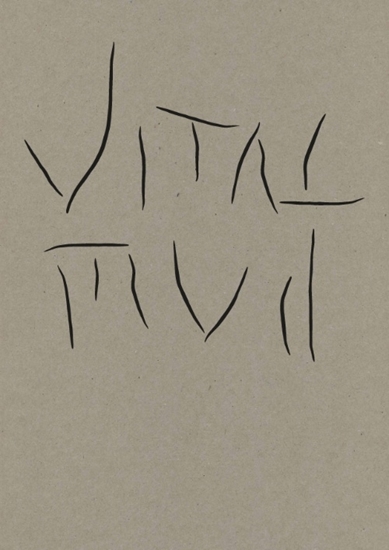 Afbeelding van Vital Mud