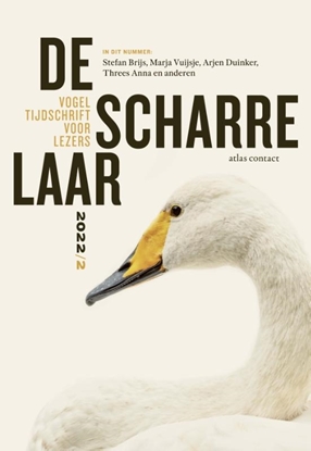 Afbeeldingen van De scharrelaar 2022/2