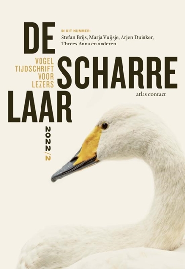 Afbeelding van De scharrelaar 2022/2
