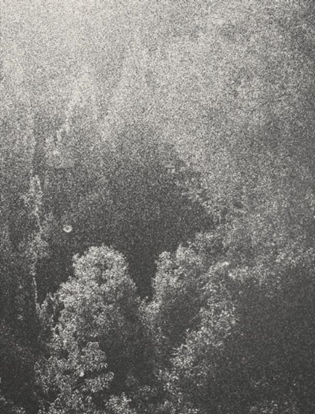 Afbeeldingen van Little Suns on Earth
