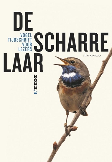 Afbeelding van De scharrelaar - 2022/1