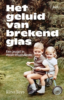 Afbeeldingen van Het geluid van brekend glas