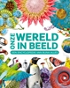 Afbeelding van Onze wereld in beeld