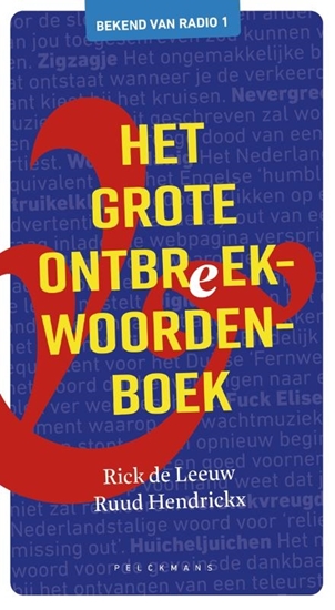 Afbeelding van Het grote ontbreekwoordenboek