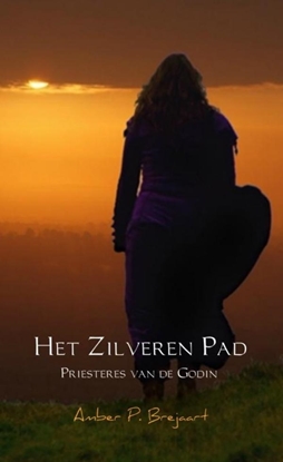 Afbeeldingen van Het zilveren pad