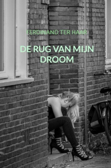 Afbeelding van De rug van mijn droom