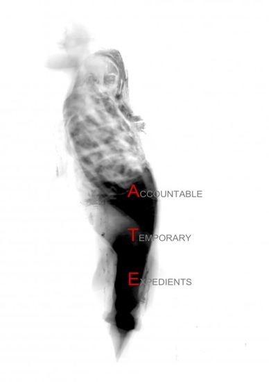 Afbeelding van Accountable Temporary Expedients