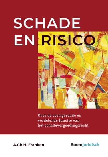Afbeelding van Schade en risico
