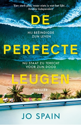 Afbeeldingen van De perfecte leugen